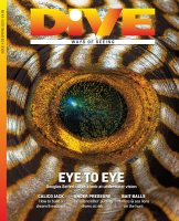 Dive-Magazine-Spring- @enmagazine 2022_0.pdf